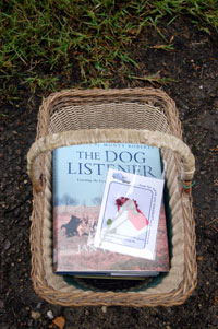 woven picnic basket with borrowed books inside andcard ontop